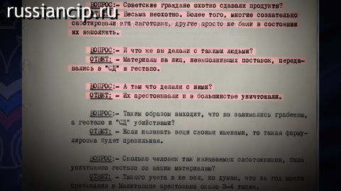 Ролики Запорожская область. (Без срока давности. Ролики по субъектам Российской Федерации №2, 2025)