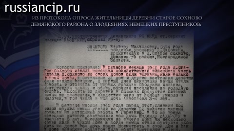 Ролики Новгородская область. (Без срока давности. Ролики по субъектам Российской Федерации №5, 2025)