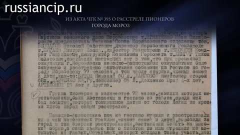 Ролики Ростовская область. (Без срока давности. Ролики по субъектам Российской Федерации №9, 2025)