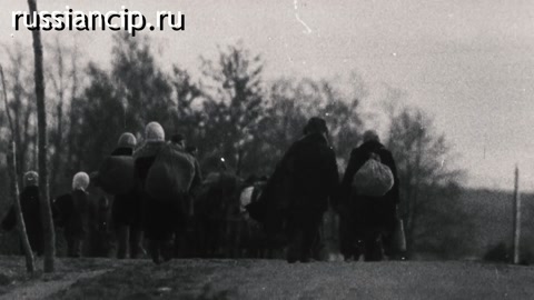 Ролики Воронежская область. (Без срока давности. Ролики по субъектам Российской Федерации №17, 2025)
