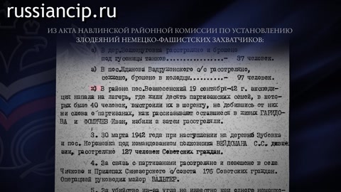 Ролики Брянская область. (Без срока давности. Ролики по субъектам Российской Федерации №24, 2025)
