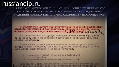 Ролики Волгоградская область. (Без срока давности. Ролики по субъектам Российской Федерации №28, 2025)