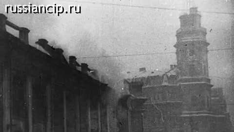 Ролики Ленинград. (Без срока давности. Ролики по субъектам Российской Федерации №30, 2025)