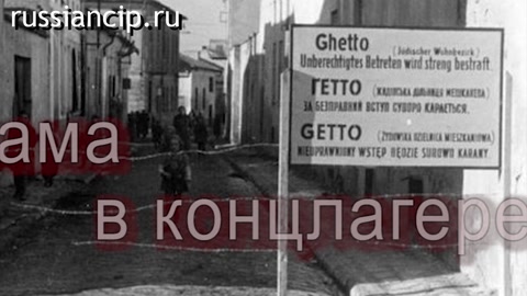 Общественное кино "А мне уже плакать нечем", Мультстудия "Оранжевый кактус". (2024)