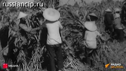 Документальный фильм Отношения СССР и Японии (1930 - 1945). (Видеоподкаст "Война на Востоке" №1, 2025)
